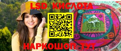 амф Кандалакша