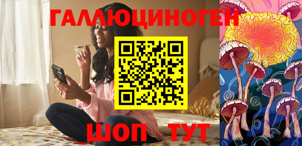 Псилоцибиновые грибы мицелий  Галлюциногенные грибы ЛСД  Вход с VPN  закладки  Курганинск 