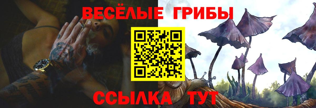 Псилоцибиновые грибы мицелий Курганинск